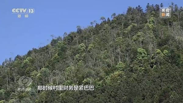 1724050876192451.jpg 4 (1).jpg