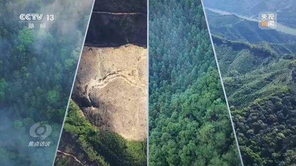 1724050897463563.jpg 7 (1).jpg