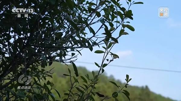 1724050904976074.jpg 8 (1).jpg