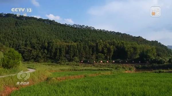 1724050911857375.jpg 9 (1).jpg