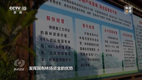 1724050918382608.jpg 10 (1).jpg