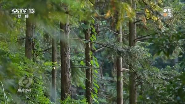 1724050933196716.jpg 12 (1).jpg