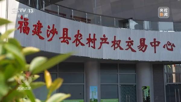 1724050941273201.jpg 13 (1).jpg