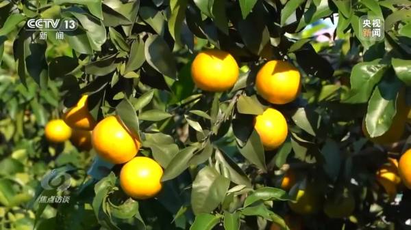 1724050948209322.jpg 14 (1).jpg