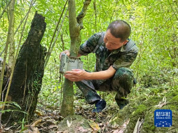 1724137225602157.jpg 2 (1).jpg