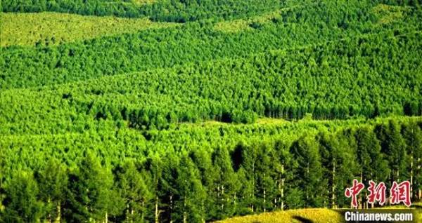 1724138583480913.jpg 5 (1).jpg