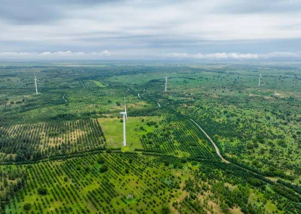 1724139975385335.jpg 640 (1).jpg