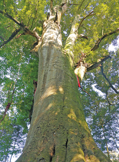 1724208441793477.jpg 1.jpg