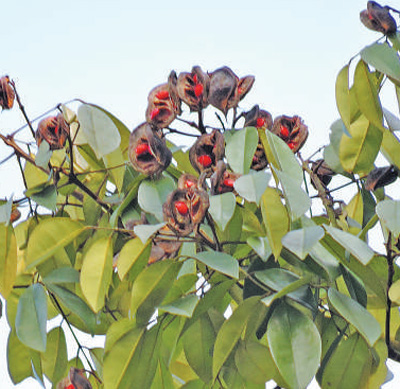 1724208448459348.jpg 2.jpg