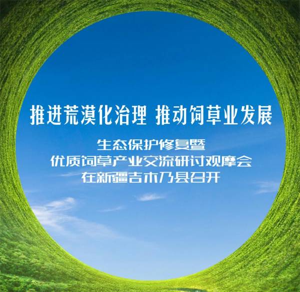 1724290041703775.jpeg 1 (1).jpeg