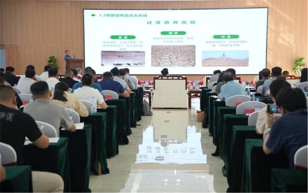 1724290061744979.jpeg 4 (1).jpeg