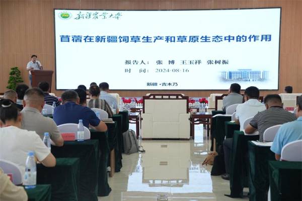 1724290067298792.jpeg 5 (1).jpeg