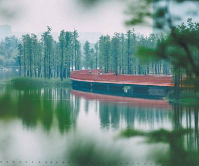 1724336616610049.jpg 2.jpg