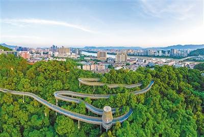 1724336641920301.jpg 6.jpg