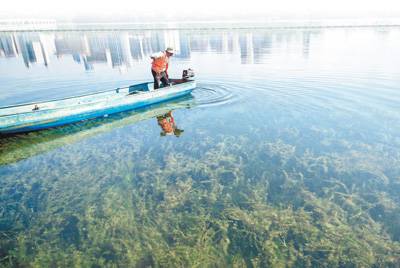 1724336648277438.jpg 7.jpg