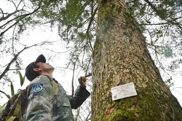 1724813077762276.jpg 2024082320988cf6fb0c47f4b9f18b117f03c79c_20240823b201709b2c9a466c9e2b3c3e2a080baa (1).jpg