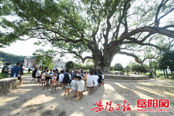 1724813224572302.jpg 1 (1).jpg