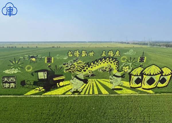 1724907744360321.png 00608857718_f78c6821 (1).png