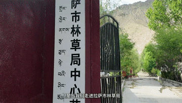 1725419566515858.gif 1725419566515858.gif