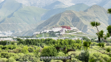 1725419594352045.gif 1725419594352045.gif