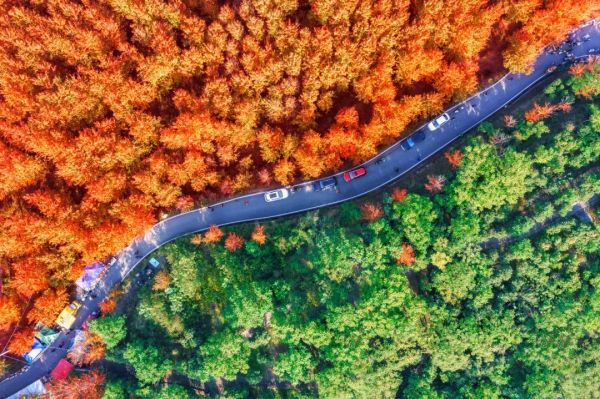 1727058761871955.jpg 3.jpg