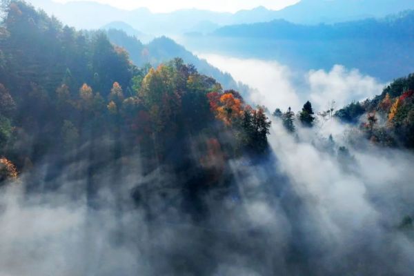 1727058804382526.jpg 4.jpg