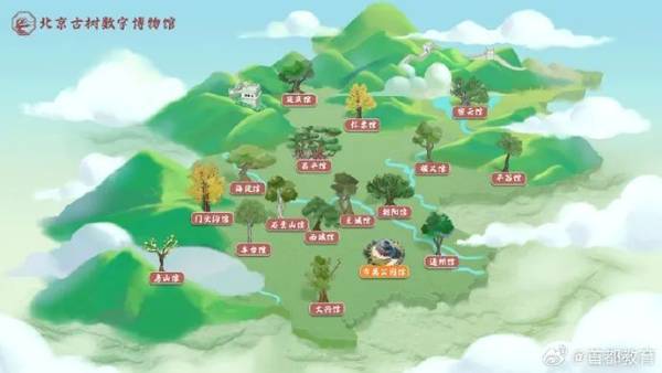 1727590375954972.jpg 1.jpg