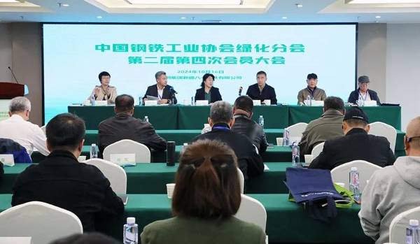 1729218813498067.jpg 1.jpg