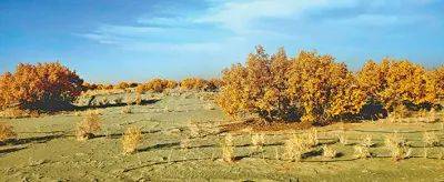 1730186285418243.jpg 1 (1).jpg