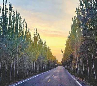 1730186298110035.jpg 3 (1).jpg