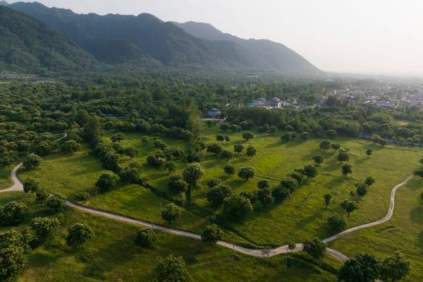 1730186817287086.jpeg 2.jpeg