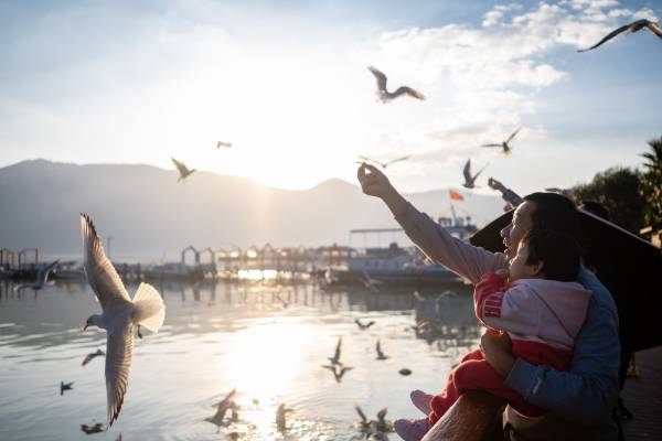 1730186824813321.jpeg 3.jpeg