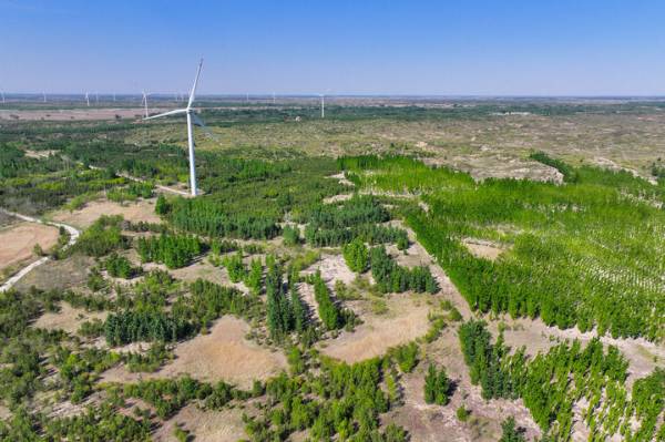 1730186832527747.jpeg 4.jpeg