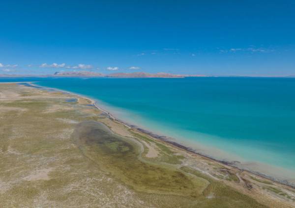 1730186840490999.jpeg 5.jpeg