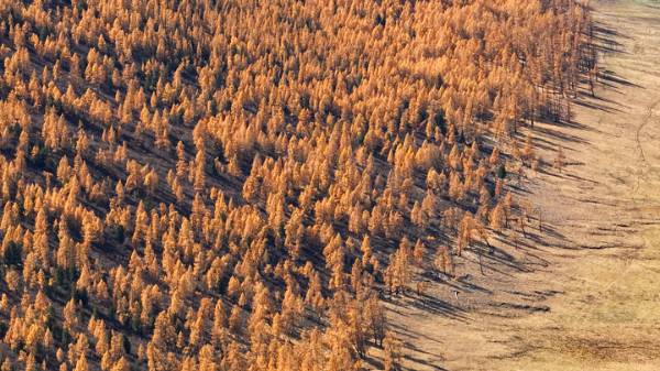 1730186930162117.jpeg 11.jpeg