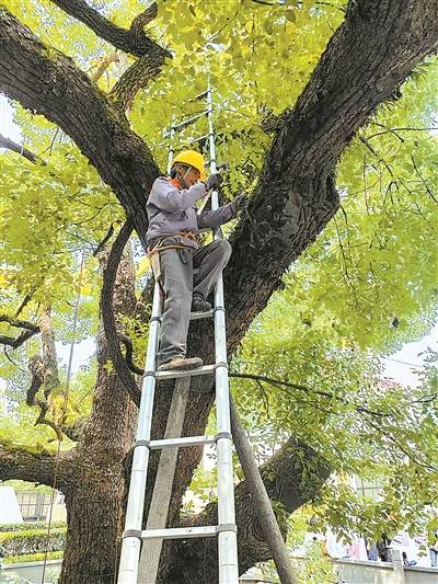 1732171056746767.jpg 1732171056746767.jpg