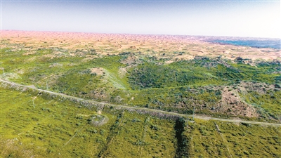 1733381795240162.jpg 1733381795240162.jpg