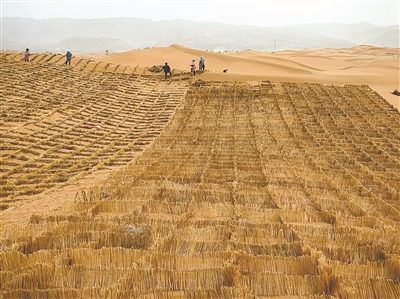 1733381808654425.jpg 1733381808654425.jpg