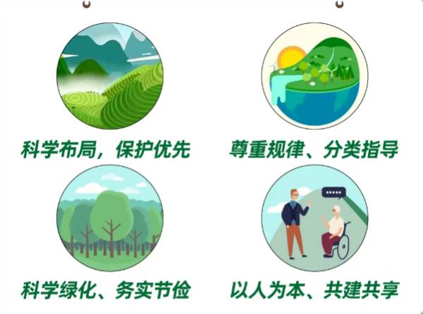 1733706747813278.jpg 1 (1).jpg