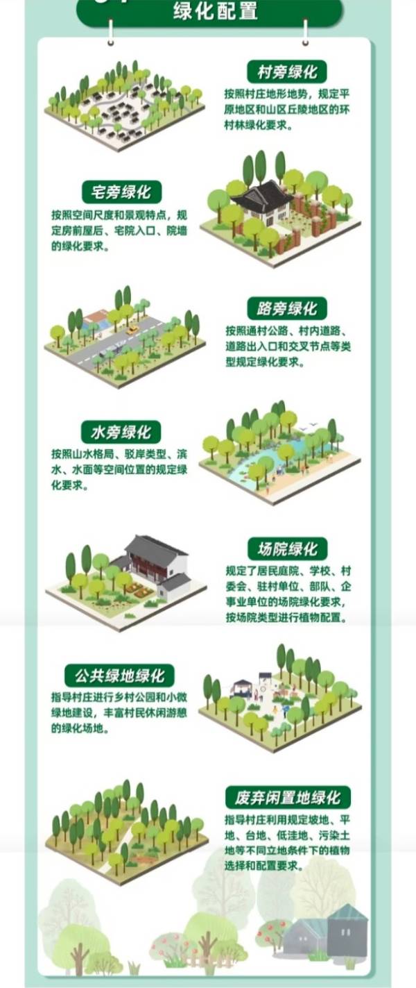 1733706763592068.jpg 3 (1).jpg