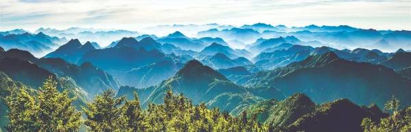 1735786955590069.jpg 5 (1).jpg