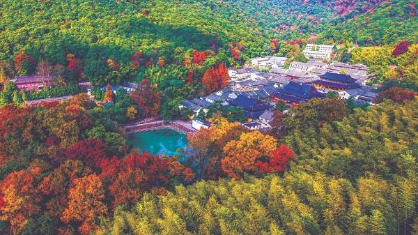 1735786962613385.jpg 6 (1).jpg