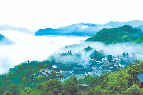 1735786970140497.jpg 7 (1).jpg