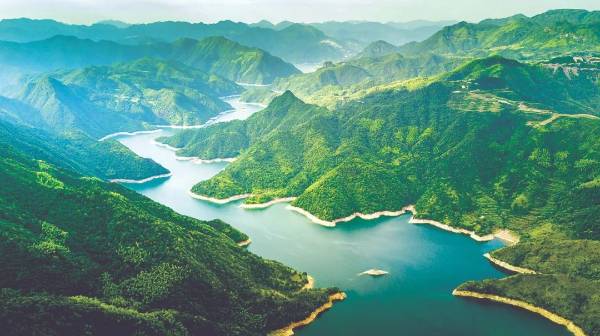 1735786978434263.jpg 8 (1).jpg