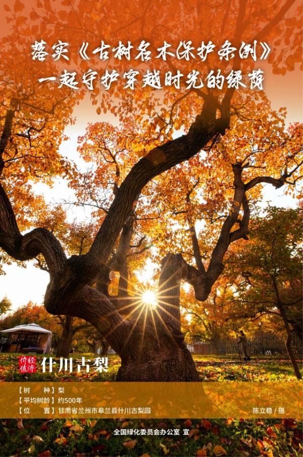 1736389109814439.jpg 2 (1).jpg