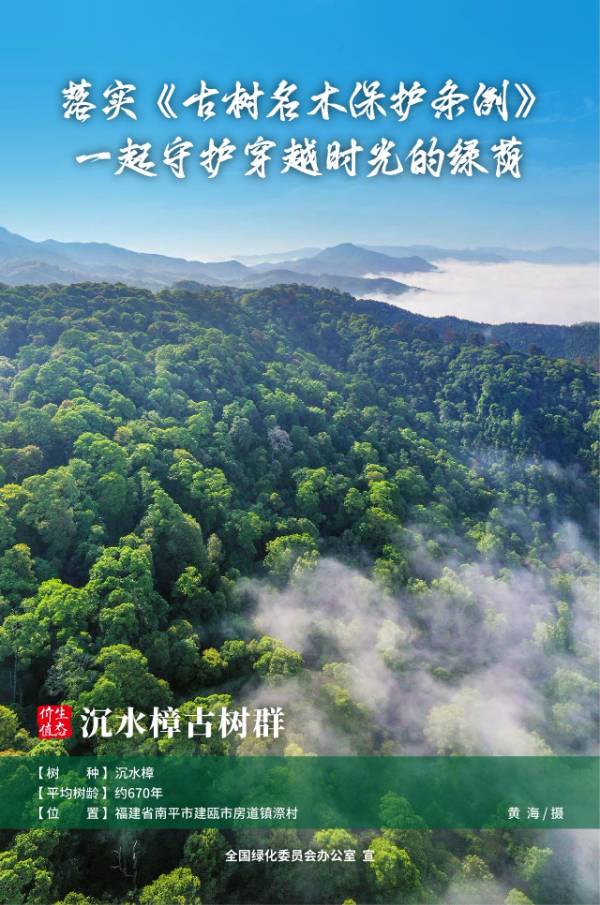 1736389114619435.jpg 3 (1).jpg