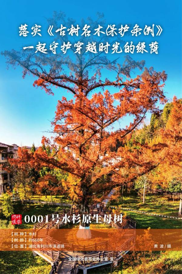 1736389117690771.jpg 4 (1).jpg