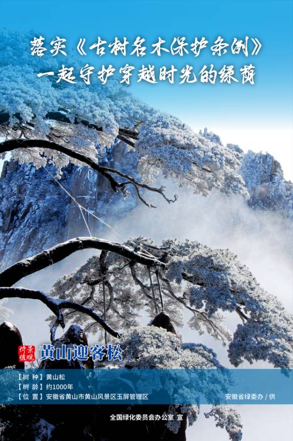 1736389120900850.png 5 (1).png