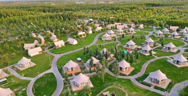 1736745002216950.jpg 2.jpg