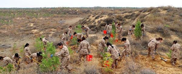 1736745009566720.jpg 3.jpg